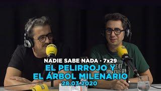 NADIE SABE NADA 7x29 | El pelirrojo y el árbol milenario