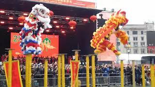 The Chen Brothers Performing Their Flying Lions Dance @The London Chinese New Year Celebrations 2024