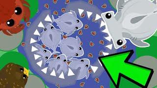 Mope.io SHARK SUMO MINIGAME!! (Best Mope.io Moments)