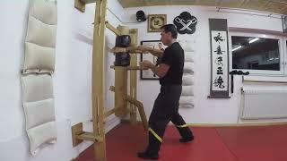 DRAGOS WING TSUN MOK YAN CHONG FAT Holzpuppenform 2023 - Sfu Martin Dragos