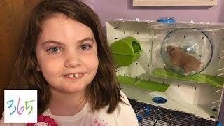 GETTING MY FIRST HAMSTER!  | KIDS LIFE 365 | 5.12.19