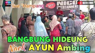 BANGBUNG HIDEUNG NAEK AYUN AMBING // Live HAMPANG // Bajidoran sunda nico entertainment