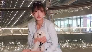 程瀟Cheng Xiao 《Orange撒起歡兒來連程瀟都叫不住了》230407