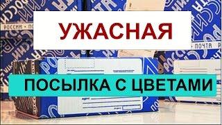 УЖАСНАЯ посылка С цветами. Бывает и такое....