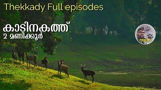 Thekkady Full Video | Boating | Nature walk | Forest Stay | Trekking in Periyar National Park.