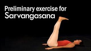 Preliminary exercise for Sarvangasana the Shoulder Stand – Yoga for Beginners