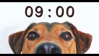 9 Minute Timer for School and Homework - Dog Bark Alarm Sound