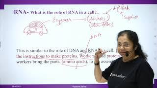 DNA To Proteins - transcription UPSC CSE IAS