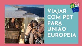 VIAJAR COM PET do Brasil para países da UNIÃO EUROPEIA, passo a passo documentos e PET NO AVIÃO