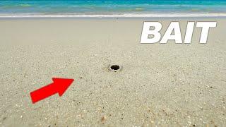 This tiny hole has BIZARRE Fishing Bait.. (Fishing Experiment)