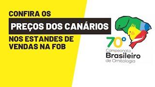 Confira os PREÇOS DOS CANÁRIOS no CAMPEONATO DA FOB