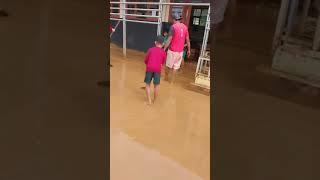 Pascasarjana banjir #viralvideo #shorts #viralvideo #viralshort #viralshorts