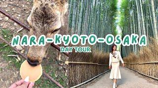 NARA-KYOTO-OSAKA in a Day!  Things to do, Places to Eat, Tips - Ultimate Guide | Japan Vlog 2024