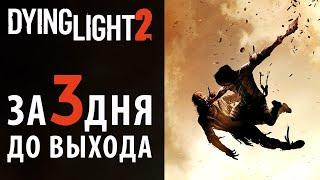 Что нужно знать о Dying Light 2 новичку