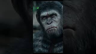 EVOLVED APES Show STRENGTH to HUMANS #dawnoftheplanetoftheapes #movierecaps #movieclips #moviereview