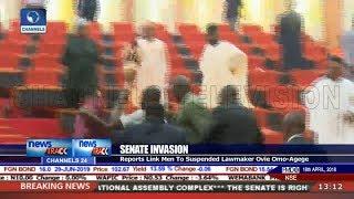 Thugs Invade Nigeria's Senate, Steal Mace