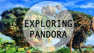 Exploring Pandora for the First Time: Vlog