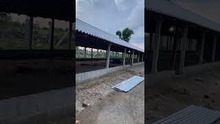 Poultry farm construction