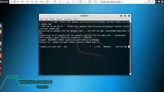 Install Chrome In Kali Linux | How To Install Google Chrome In Kali Linux | 2020 | Install In Ubuntu