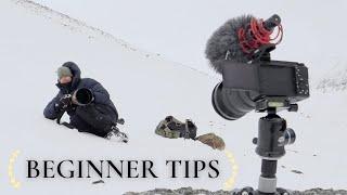 3 BEGINNER TIPS on wildlife photography vlog 2024 - Tell a story
