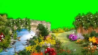 Beauty garden green screen background