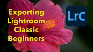 Exporting For Lightroom Classic for beginners