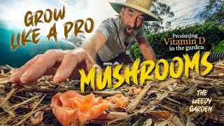 GROW GOURMET MUSHROOMS: Inoculating the Garden Step by Step Guide