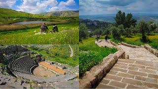 جمال الربيع في اربد لا يصدق - the beauty of spring in Irbid is unbelievable