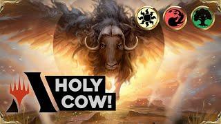 HOLY COW to DIAMOND!?!? | Magic the Gathering: Arena Standard Deck