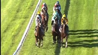 13 April 2013 Australian Derby   Itsadundeel