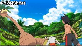 Goh Catching Alolan Exeggutor | Pokemon Journeys