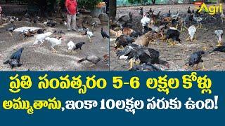 Sirigiri Farms Natu Kollu & Pandem Punjulu | ప్రతి సంవత్సరం 5-6 లక్షల కోళ్లు అమ్ముతాను..!! Tone Agri