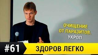 Очищение от паразитов,  укроп.