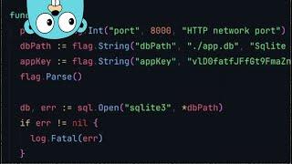 Configure Golang web apps using command-line flags