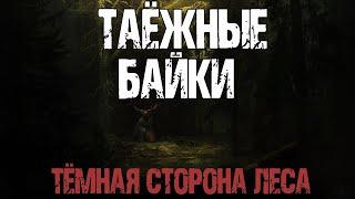 ТАЕЖНЫЕ БАЙКИ - С.Борзов. Страшные истории про лес. Мистические рассказы. Мистика про лешего