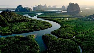 Amazonas - Der größte Regenwald der Welt / Dokumentation