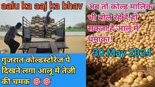 aloo rate today||today aalu mandi bhav||potato wholesale market in India ||all india potato farmers