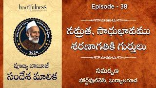 నమ్రత, సాధుభావము శరణాగతికి గుర్తులు | పూజ్య బాబూజీ సందేశ మాలిక | Episode 38