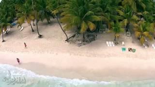 Abanico Beach at Saona Island, Dominican Republic