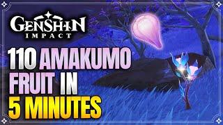 Amakumo Fruit Locations | Fast and Efficient Route | Raiden Ascension Materials |【Genshin Impact】