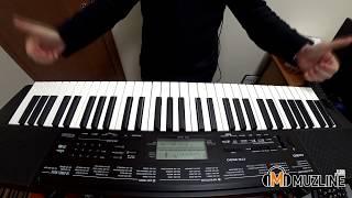 Синтезатор Casio CTK-3500 Демонстрация (House of the Rising Sun)