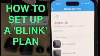 How To Set Up A Blink Subscription Plan