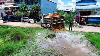 New Project! Experts transport soil to fill in flooded field Replace with Soil By Bulldozer Pouring