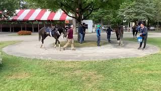 Big Wicks pre / post gate work 8/17/22 w/ Manny Franco