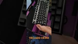 Teclado CK350 Cooler Master...