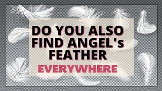 Why Do You See Feather's Everywhere || Meaning Of Angel's Feather || Angel feather meaning ||