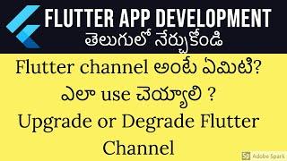 What is flutter channel? how to change channel in flutter | upgrade or degrade flutter channel | #73