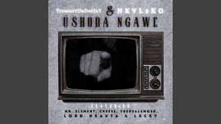 Ushoda Ngawe (feat. NKVL3KO, Mr. Element, Cheese, TheRealSmosh_, Lord Nkauta & Lxcky)