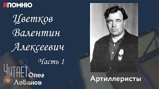 Цветков Валентин Алексеевич Часть 1. Проект "Я помню" Артема Драбкина. Артиллеристы.