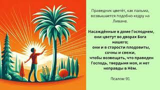 Хочешь быть молодым и свежим?  Узнай, что говорит Библия.Устал  от домыслов? Пора изучать Писание!